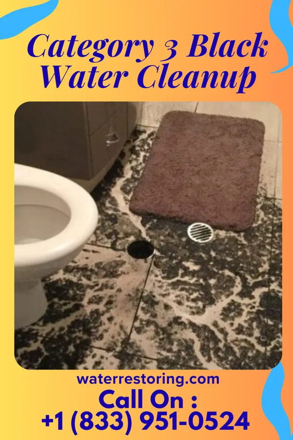 Category 3 Black Water Cleanup in Austintown, OH