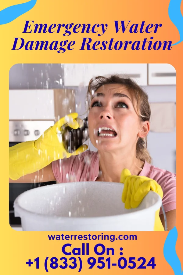 Emergency Water Damage Restoration in Austintown, OH