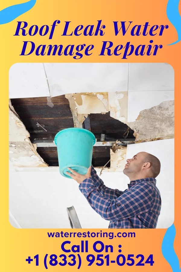 Roof Leak Water Damage Repair in Austintown, OH